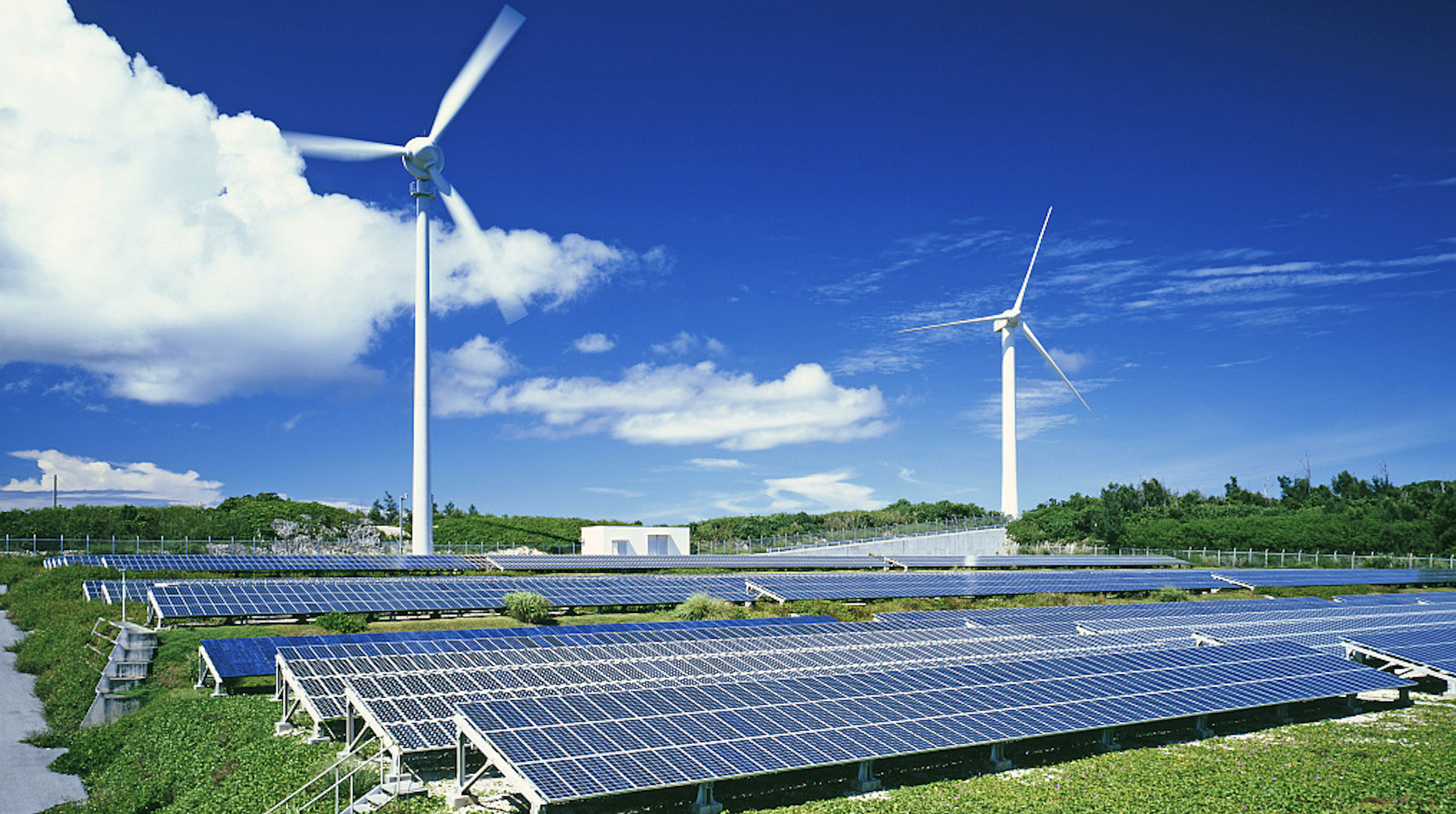 風電領域新突破，萬馬專纜與哈電風能有限公司達成戰略合作！