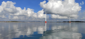 助推”双碳”目标，万马专缆推动绿色风电行业发展